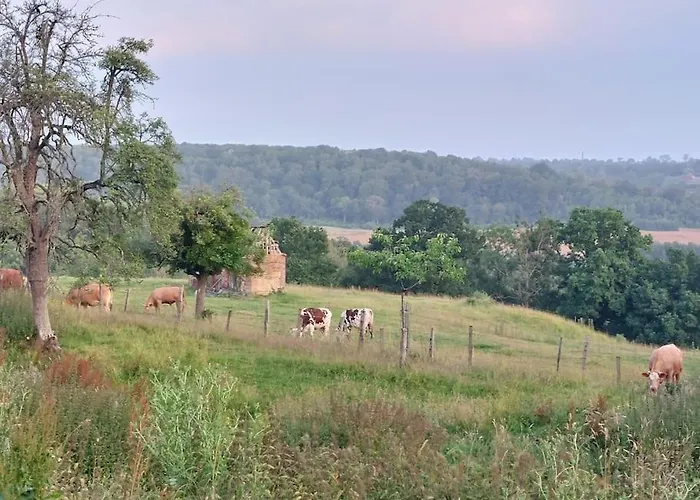 Depaysement Total A 30mn De Deauville