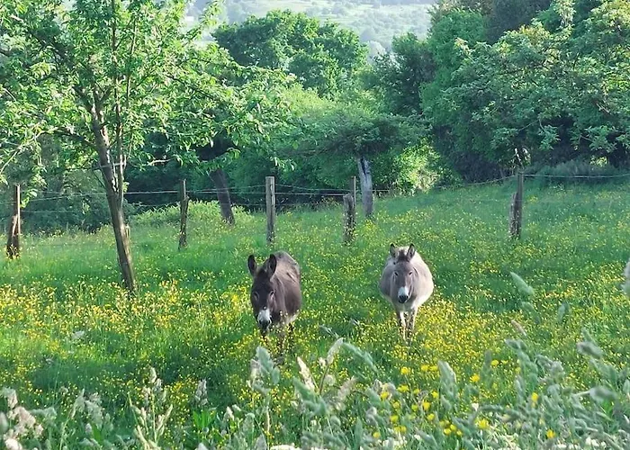 Depaysement Total A 30mn De Deauville * Hermival-les-Vaux